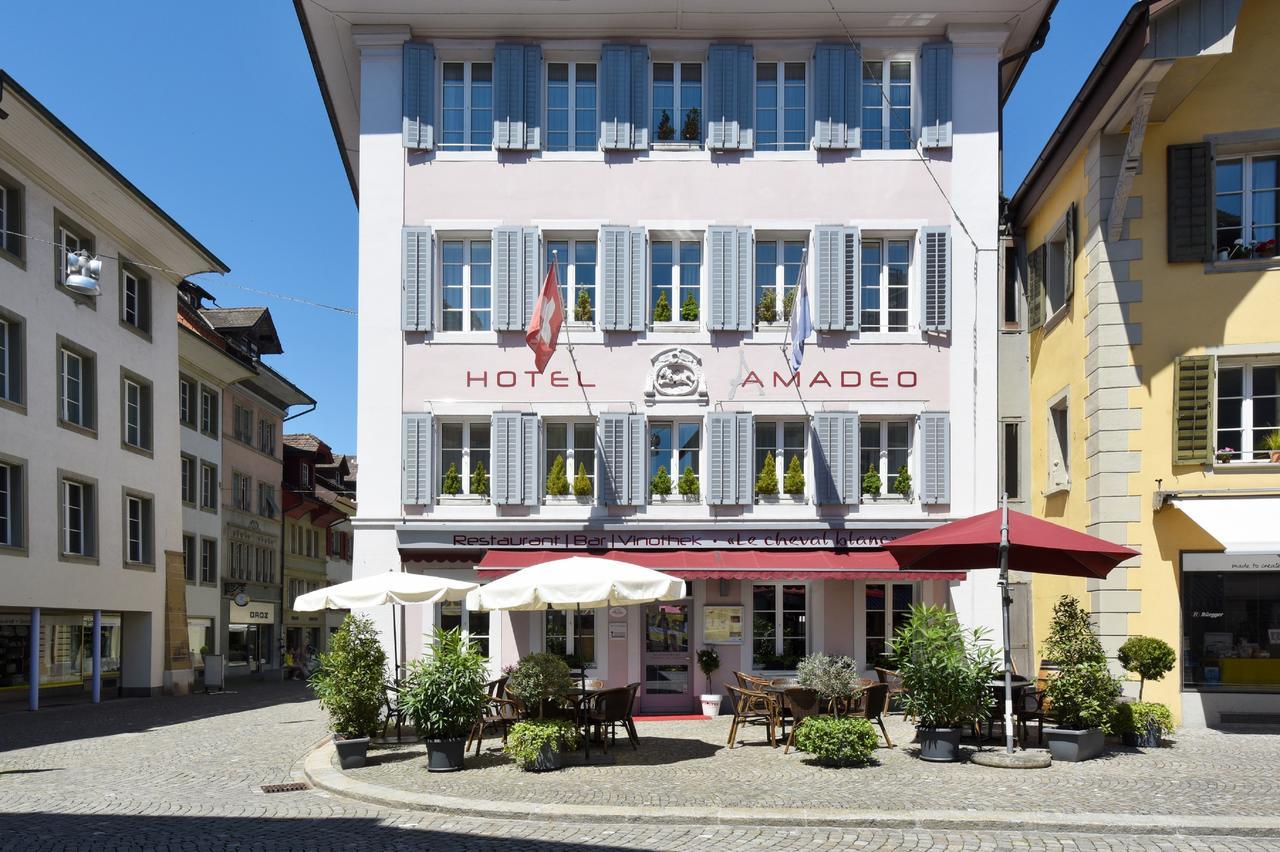 Apart Hotel Amadeo Zofingen Bagian luar foto